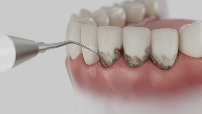 Reliable Dental contractor in Port Gibson, MS by Dentist Open Now